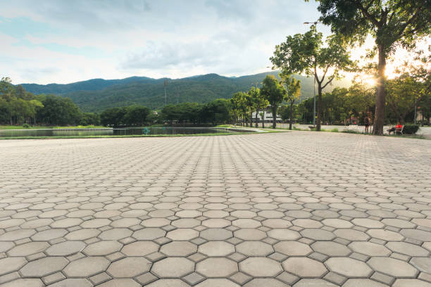 Best Driveway Repair Near Me  in Ranchettes, WY